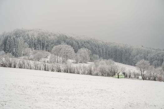 Beautiful winter landscape with lots of snow and trees in odenwald, germany