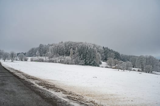 Winter landscape with road in front, forest in the distance with lots of snow