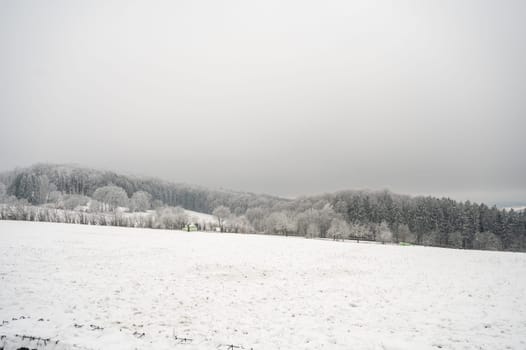 Beautiful winter landscape with lots of snow and trees in odenwald, germany