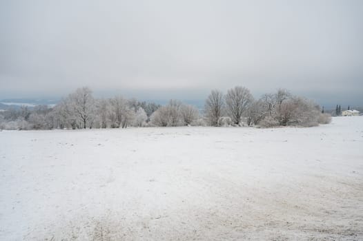 Beautiful snow landscape background with meadow and forest during cloudy day in the winter, Neunkircher Hoehe Odenwald, Darmstadt