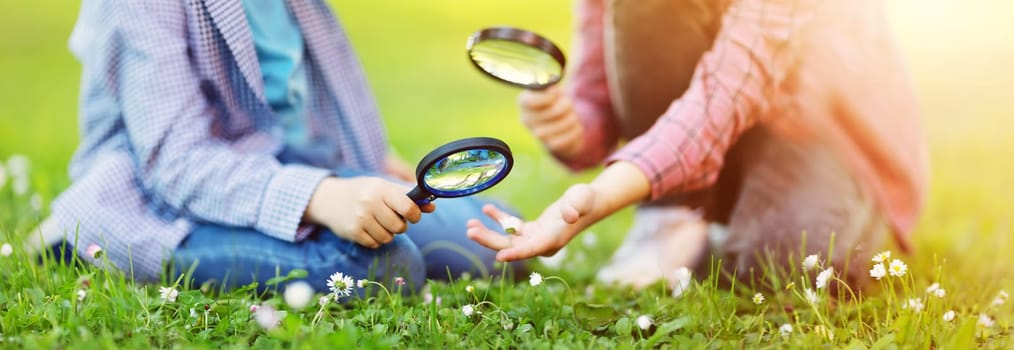 Children exploring fresh nature by using magnifying glasses. Concept of the family, vacation and recreation.