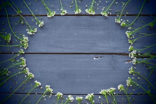 Shepherd's purse flowers arranged in a circle on a wooden background or old table. Small yellow inflorescences. copyspace. Free space in the center for text. Blue toning. Dark vignetting around edges.