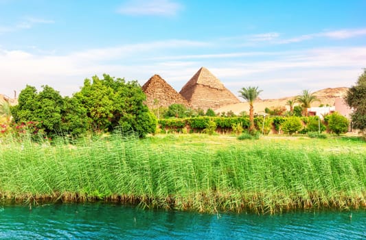 Landscape of Aswan in the Nile on the way to pyramids, Egypt.