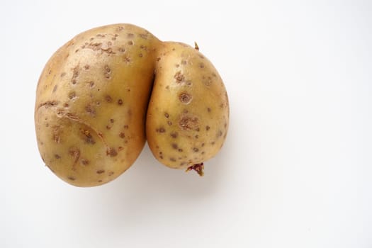 Ugly potatoes on white background. Unnormal vegetable, zero waste. Irregular shaped pratie spud. Influence of dioxins, radiation, pesticides and mutagenic factors on plant development. Copy space.