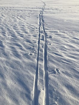 ski track into the endless distance on a snowy field