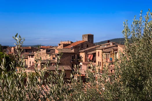San Giminigniano with olive branches