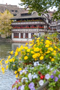 Strasbourg, water canal in Petite France area. timbered multicolored houses and trees in Grand Ile. Alsace, France. flowers in the foreground