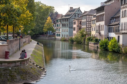 Strasbourg, water canal in Petite France area. timbered houses and trees in Grand Ile. Alsace, France. in the foreground white swan