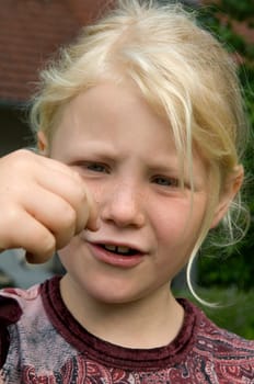 Maikaefer  Melolontha  krabbelnd, Nase