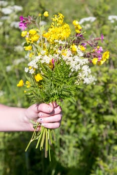Woman Holding bouquet of Summer Flowers