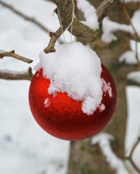 A bright red ball at Christmas time covered with snow on a tree outside.