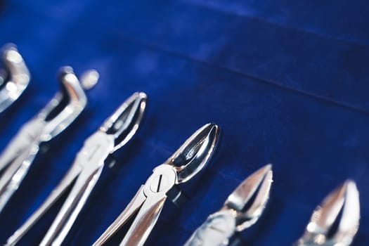 perspective view closeup of row of various dental extraction forceps tools on display on blue background with shallow depth of field