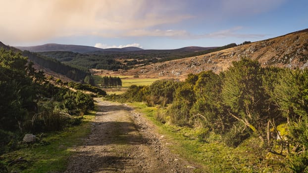 Country road, a path, leading down to the valley with meadows, forest and Lough Dan in Wicklow Mountains at sunset, Ireland