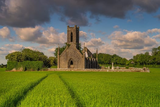Tracks in cereal leading to old stone ruins and commentary of Ballinafagh Church with dramatic sky at sunset in background, County Kildare, Ireland