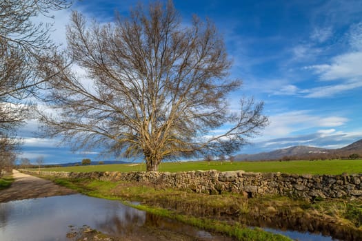 Via de la Plata way (Silver Way) to Santiago in Extremadura. Spain