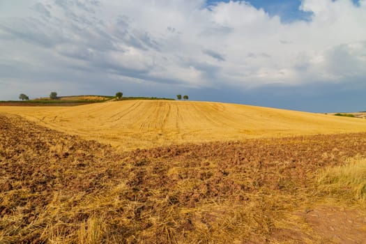 view of a crop field in the north of Spain