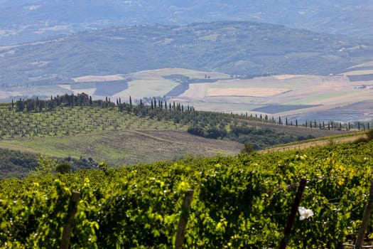 The rural landscape near Pienza in Tuscany. Italy