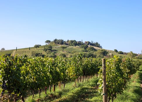 The rural landscape near Pienza in Tuscany. Italy