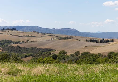 The rural landscape near Pienza in Tuscany. Italy