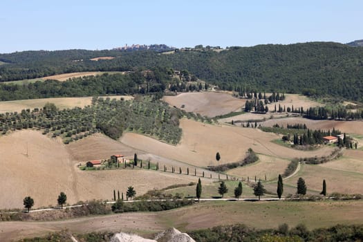 The rural landscape near Pienza in Tuscany. Italy