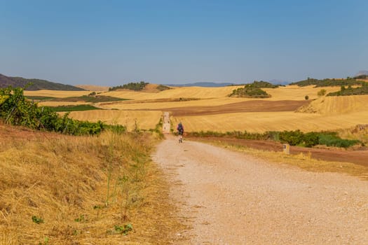 Navarre, Spain, 26 August, 2022: Pilgrims walk along the Camino De Santiago, the Way of St. James pilgrimage route, Navarra, Spain.