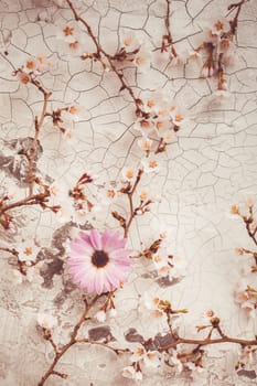 Spring background with beautiful white and pink flowering branches