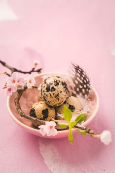 Easter eggs and pink flowers on pink background. Easter, and spring concept