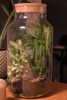 Glass jar filled with plant life on wooden table and planters