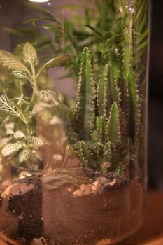 A glass filled with plants in sand and water on top of a wooden table