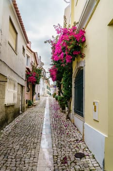 Pedestrian cobblestone street in Cascais, Portugal