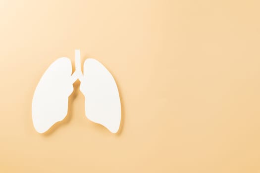 World TB day. Top view Lungs paper decorative symbol on pastel background, copy space, concept of world tuberculosis day, no tobacco, Medical and healthcare