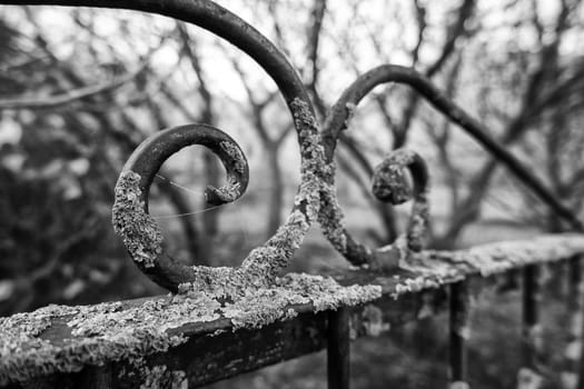 Detail of decoration with wrought iron, abandonment and destruction