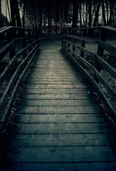 Detail of access for pedestrians in a forest in nature