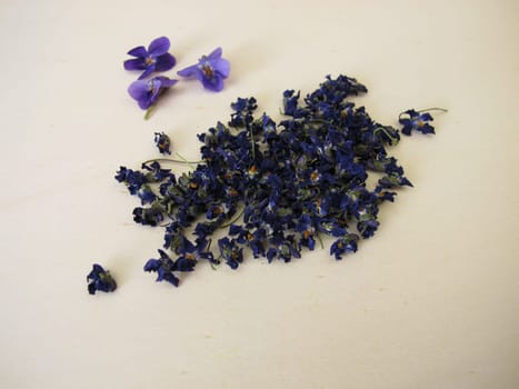 Dried flowers of sweet violets for tea