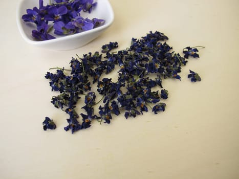 Dried flowers of sweet violets for tea