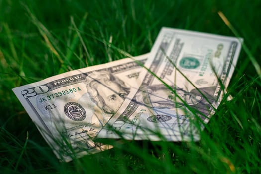 Two 20 US dollar bills lie on a background of green grass. Money, lying on the ground.