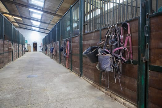 Horse stable corridor. Equestrian facility created for accommodating horses