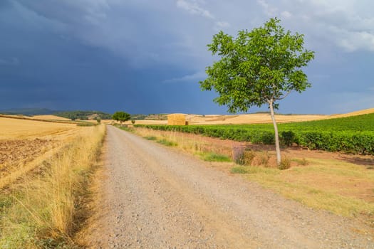 Rural road in the Spanish countryside among agricultural fields, after wheat harvest season. Navarra, Spain