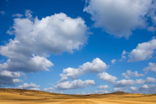 view of a crop field in the north of Spain