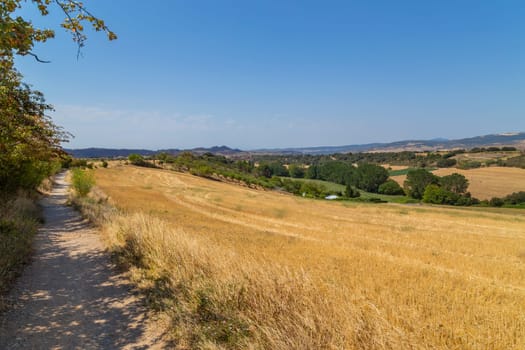 view of a crop field in the north of Spain