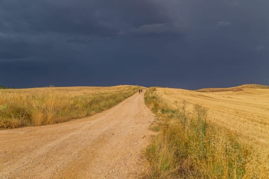 Navarre, Spain, 26 August, 2022: Pilgrims walk along the Camino De Santiago, the Way of St. James pilgrimage route, Navarra, Spain.