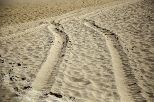 Detail of car wheel marks on a beach in nature