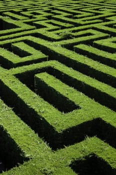 Detail of escape game in nature, survival and fun