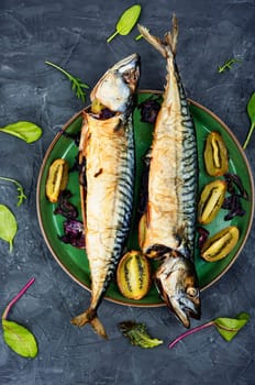 Appetizing prepared mackerel, scomber fish baked with kiwi pieces.