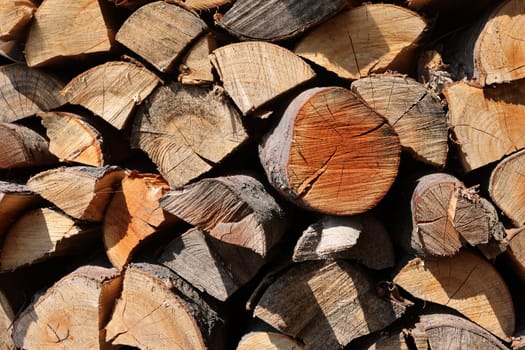 stack of firewood prepared for winter