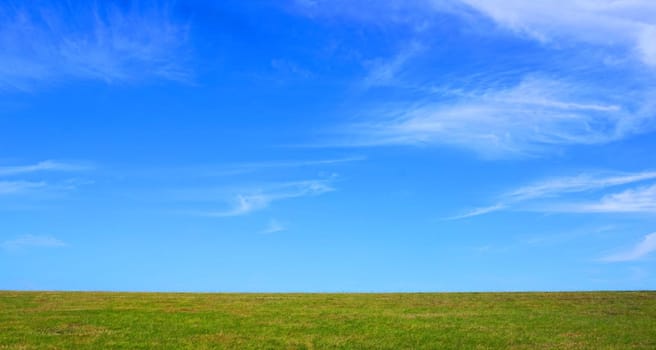 Green maddow and blue sky with copy space on a sunny summer day