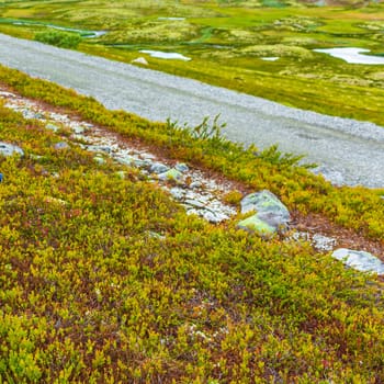 Beautiful mountain and landscape panorama with untouched nature rivers lakes and rocks stones in Rondane National Park Ringbu Innlandet Norway in Scandinavia.