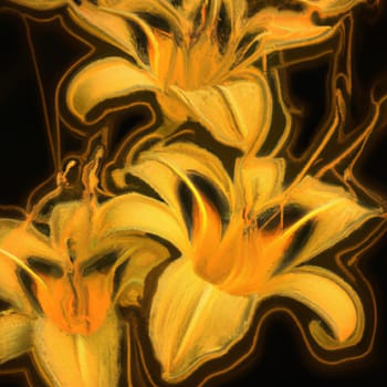 Hemerocallis lilejnik, genus of plants of the Lilaynikov family Asphodelaceae. Beautiful orange lily flowers with six petals. Flowering and crop production as a hobby. Black background. Painted image.