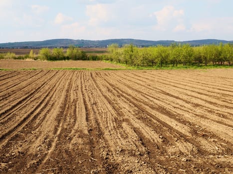 Landscape with agricultural land plowed, prepared for harvest. Agricultural landscape, arable land for temporary crops that can be plowed and used to grow crops. Serbia, Sremska Mitrovica, Fruska gora