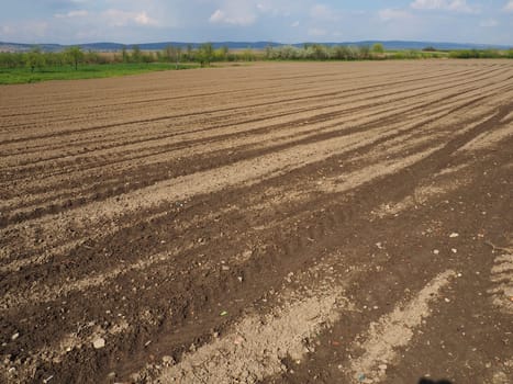 Landscape with agricultural land plowed, prepared for harvest. Agricultural landscape, arable land for temporary crops that can be plowed and used to grow crops. Serbia, Sremska Mitrovica, Fruska gora